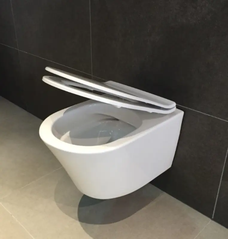 Aquadesign Rimless wandcloset met softclose zitting smal randloos wit 1208781962