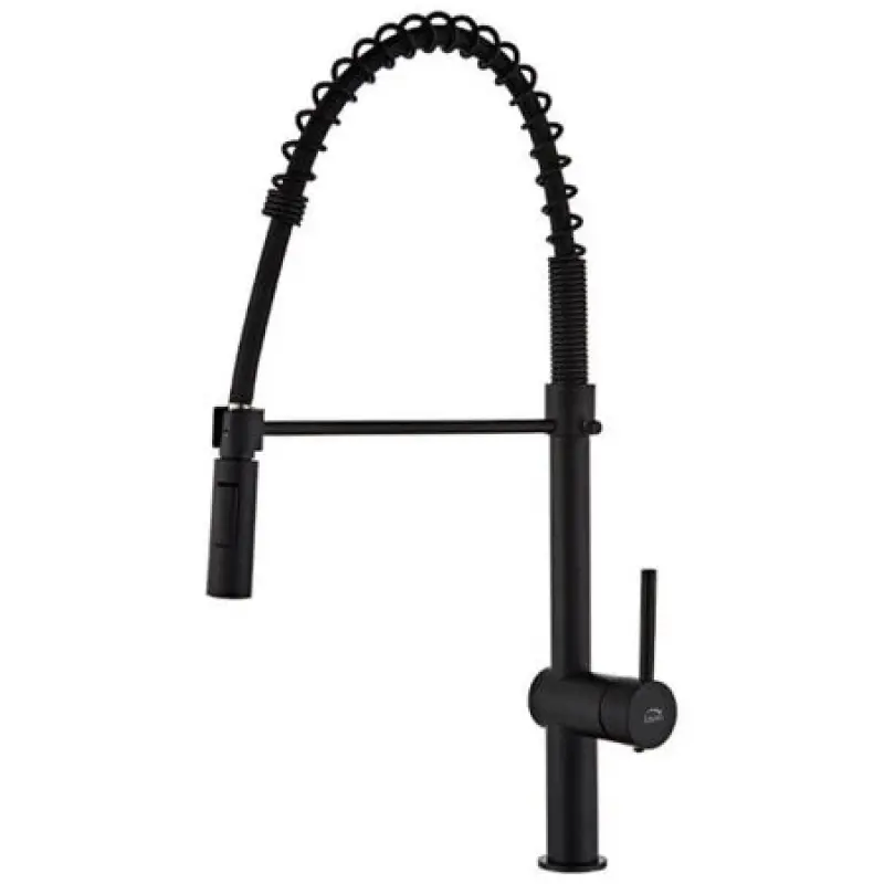 Aquadesign Industrial Profi Flex keukenmengkraan mat zwart met flexibele uitloop