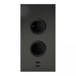 Indux Energiezuil 2ST22 met 2 stopcontacten en 2 usb aansluitingen Gun Metal met Penaarde
