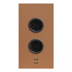 Indux Energiezuil 2ST22 met 2 stopcontacten en 2 usb aansluitingen Koper met Penaarde